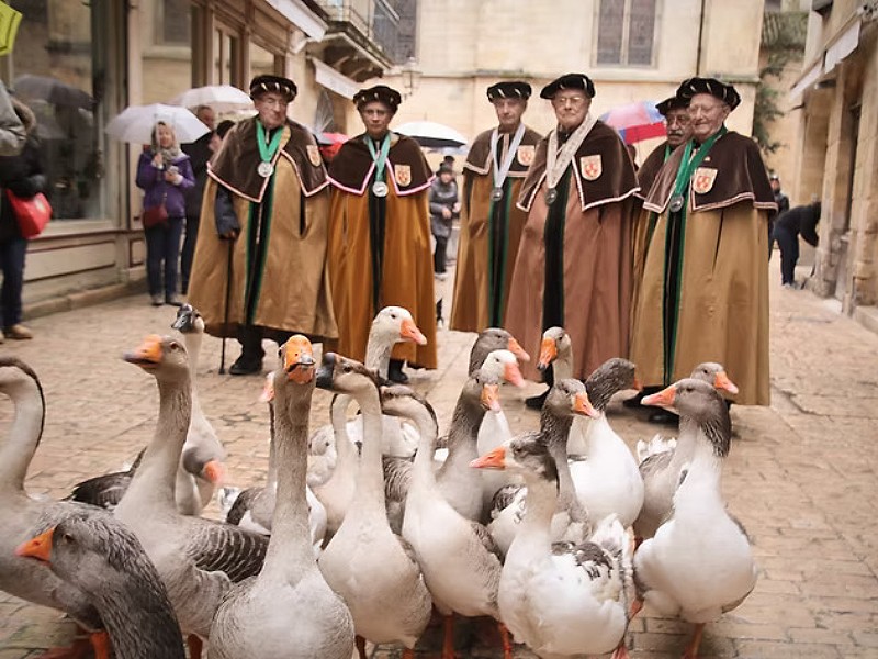 Leuk voor de kids om mee te maken: het Ganzenfeest!