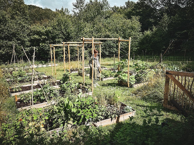 Koken met groenten en kruiden uit eigen moestuin