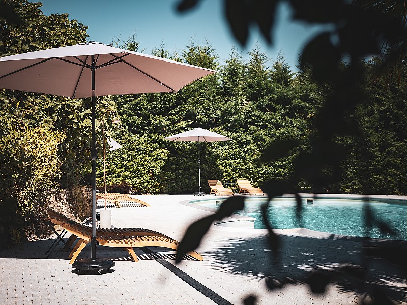 Lekker zwemmen met je nieuwe vriendjes in het heerlijke zwembad!