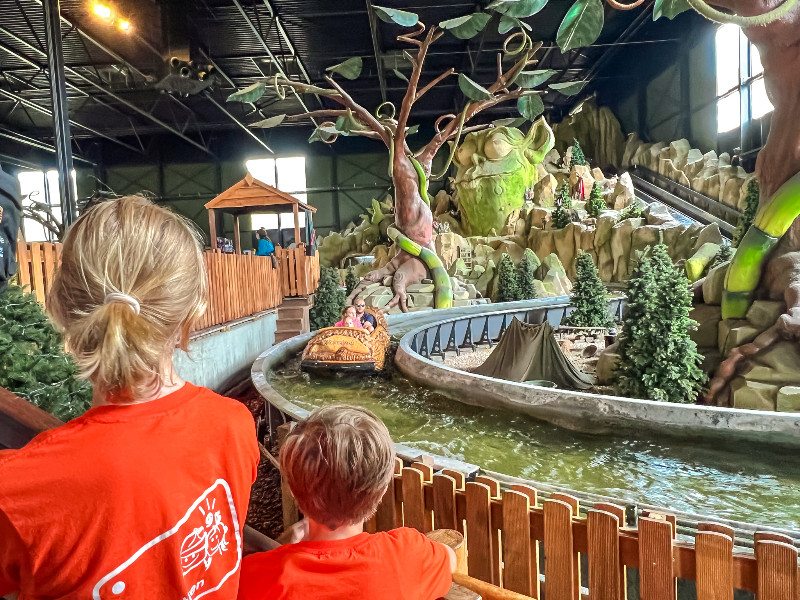 De boomstam waterattractie