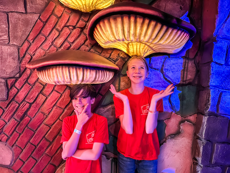 Schattige paddenstoelen in Toverland