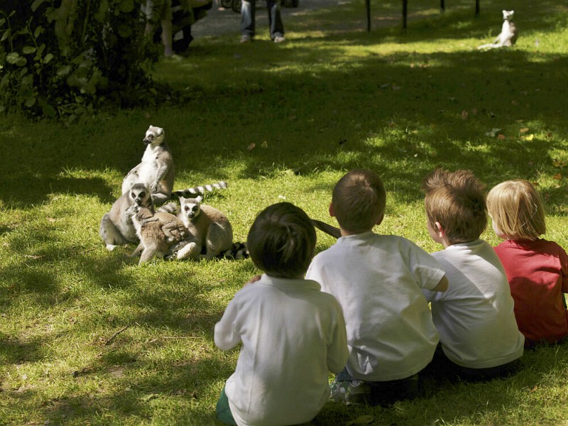 Met Travelnauts bezoek je onder andere het Wildlife Park op het Fota Island