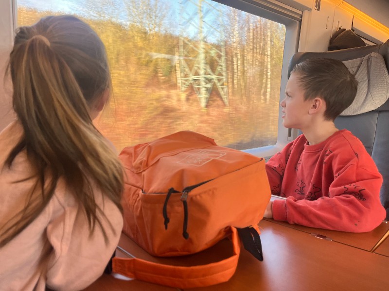 trein-naar-nendaz-800 trein-naar-nendaz-800