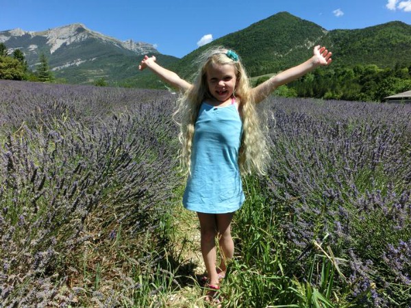 De beroemde Lavendel-velden in de Provence