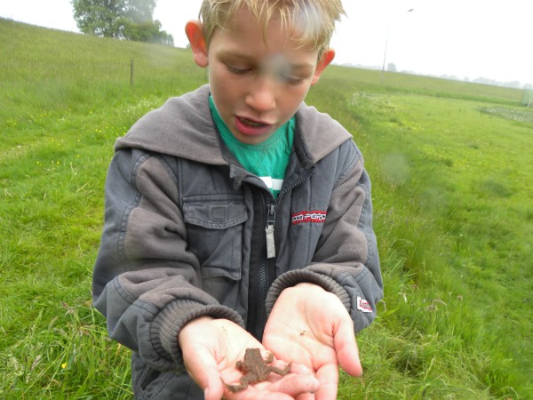 Op de kinderroutes door de natuur kom je van alles tegen, zoals deze pad
