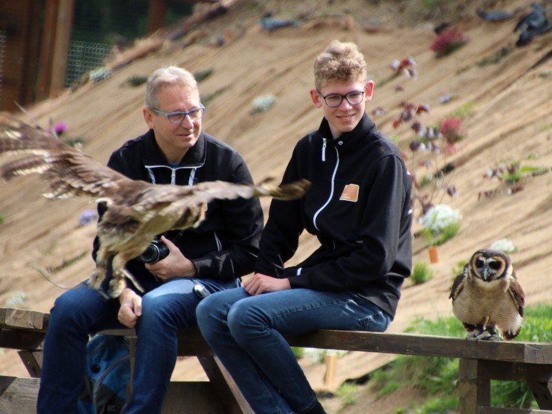 De uilen komen bij ons op het bankje zitten