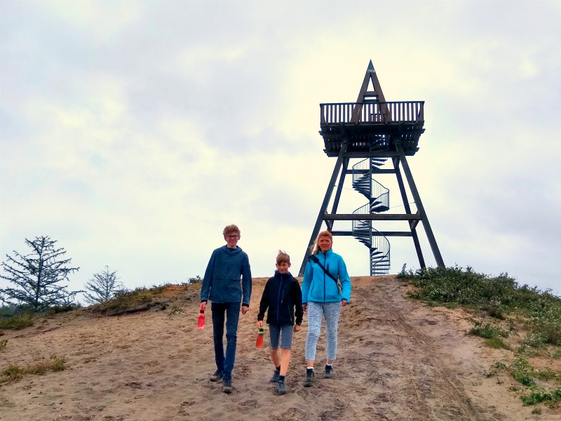 Uitkijktoren in de Maasduinen