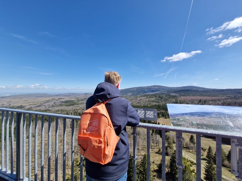 Genieten van het uitzicht op de Harzturm in de Harz