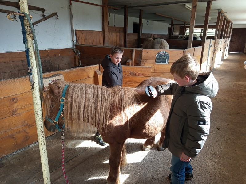De kinderen van Emma verzorgen de pony