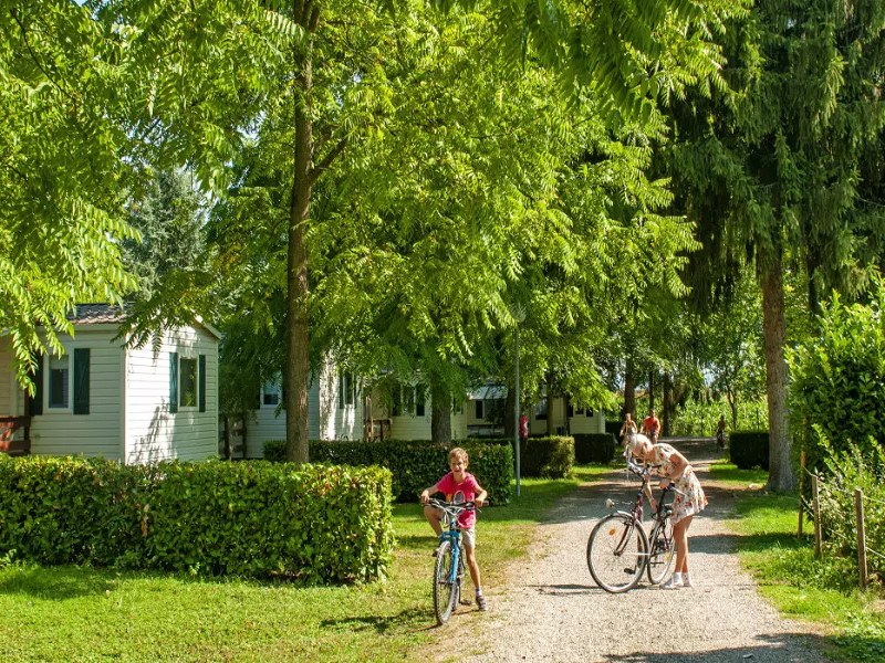 De groene omgeving van camping Le Ried in de Elzas.