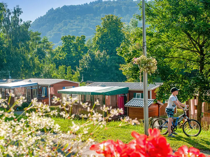 De mooie omgeving van camping Parc de la Fecht in de Elzas.