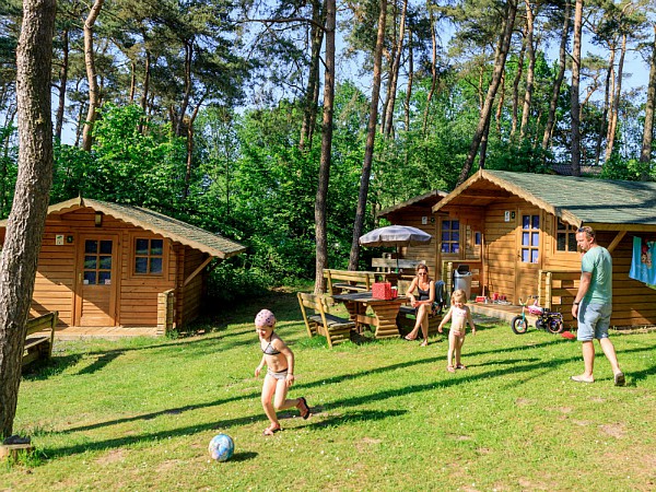 Logeren in een mooie trekkershut op Vakantiepark Diana Heide