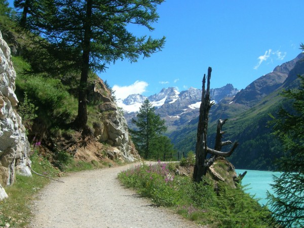 Prachtige landschappen aan de voeten van de bergen in Piemonte