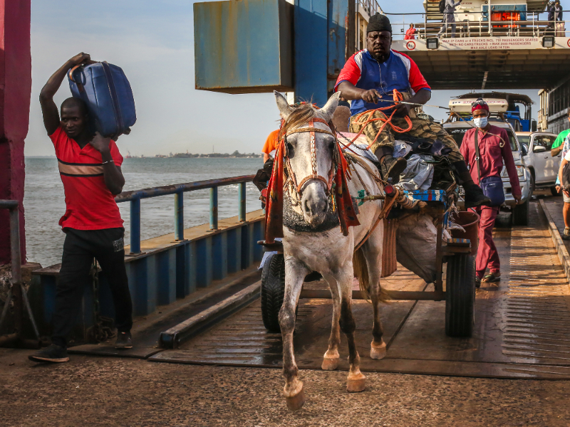 Op de ferry van Banjul naar Barra, richting Senegal, gaat alles mee. Van auto's tot paarden!