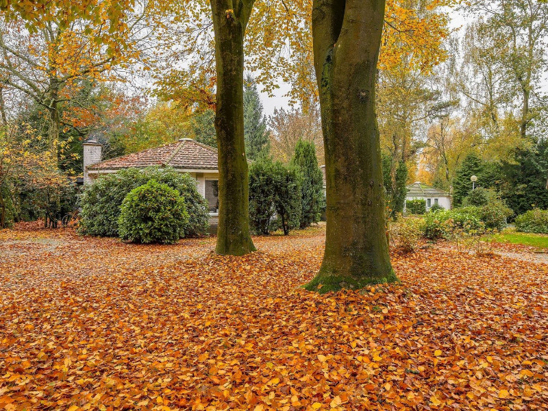 De bungalows van Het Verscholen Dorp