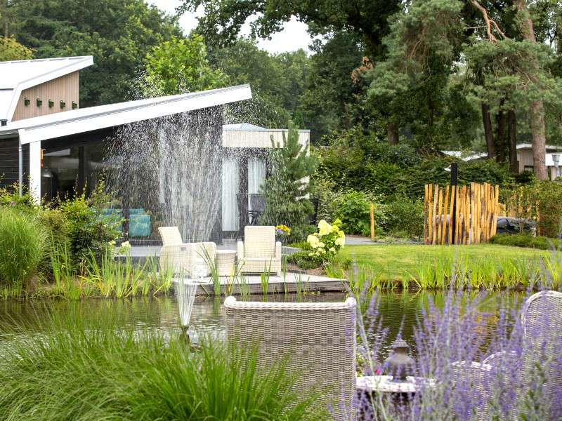 Bungalows aan een vijver in Berkenrhode
