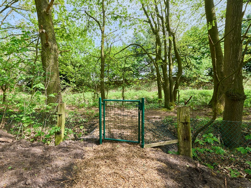 De tuin en het bos van Villa Bosrijk zijn omheind, handig met kleine kinderen zoals nieuwschierige peuters