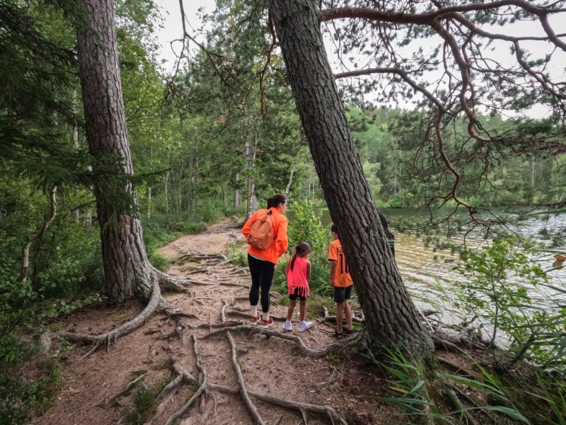 Het Försön meer nabij het Trollenbos, Vimmerby, Zweden