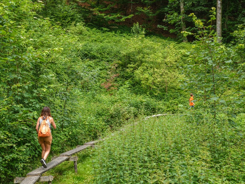 Wandelen over de Weg der Sinne in Opper-Oostenrijk