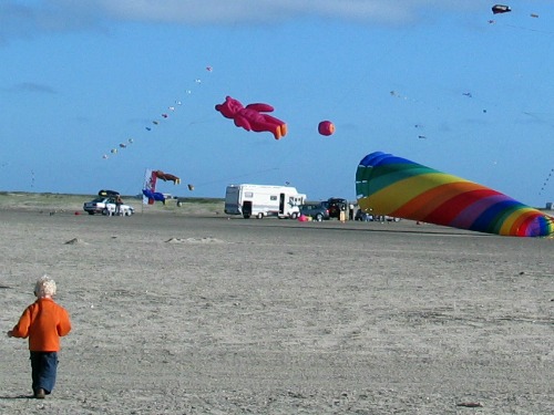 Vliegerfestival op het strand van Romo