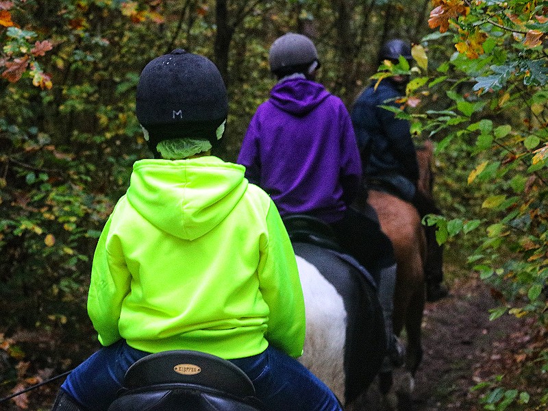 Staprit voor beginners