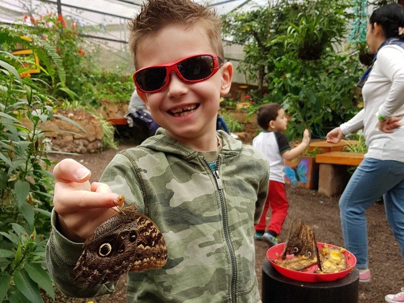 Bezoek de vlindertuin in Mindo