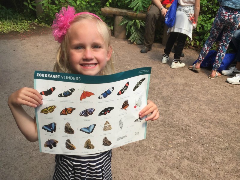 Vlinders zoeken in Diergaarde Blijdorp in Rotterdam