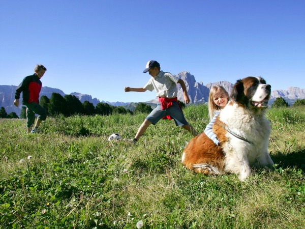 Spelen in de groen Alpenweiden