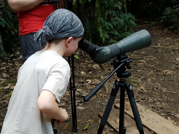 Vogels spotten in de jungle van Ecuador