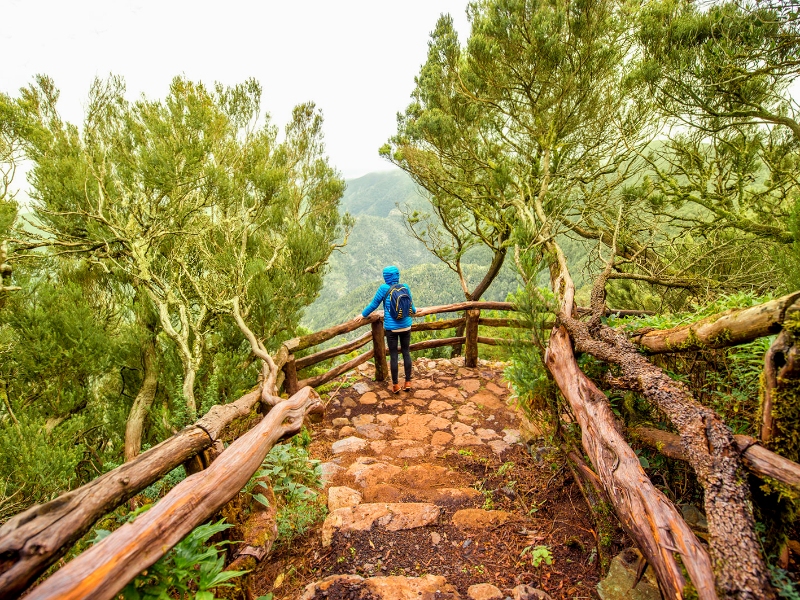 Garajonay National Park