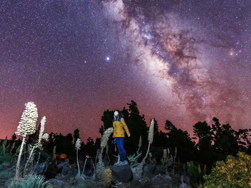 Sterren kijken op de Roque de los Muchachos