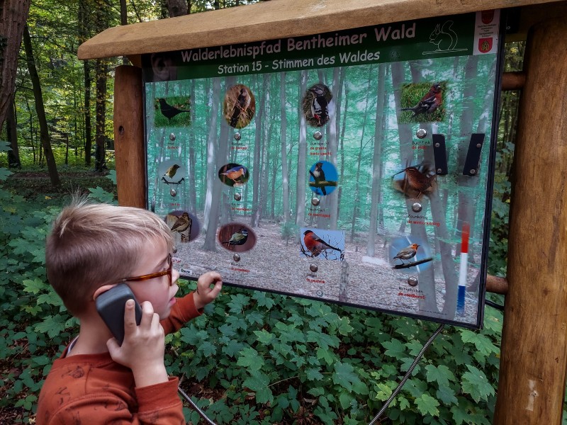 Een van de opdrachten bij het Walderlebnispfad, vogelgeluiden luisteren