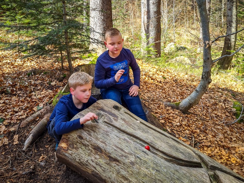 Knikkeren op de Waldkogelbahn bij de Grosser Arbersee