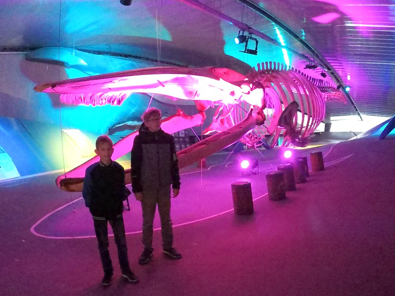 Zeb en Tycho poseren bij het skelet van een walvis