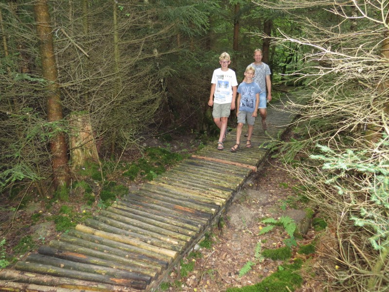 Wandelen in het Bingerwald