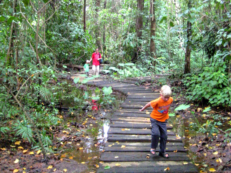 Wandelen in Phu Sang National Park