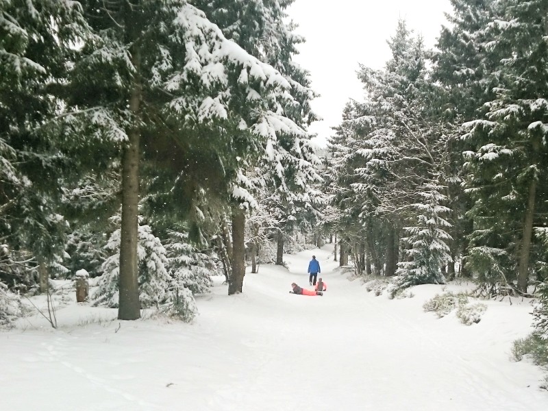 Rollend naar beneden in de sneeuw