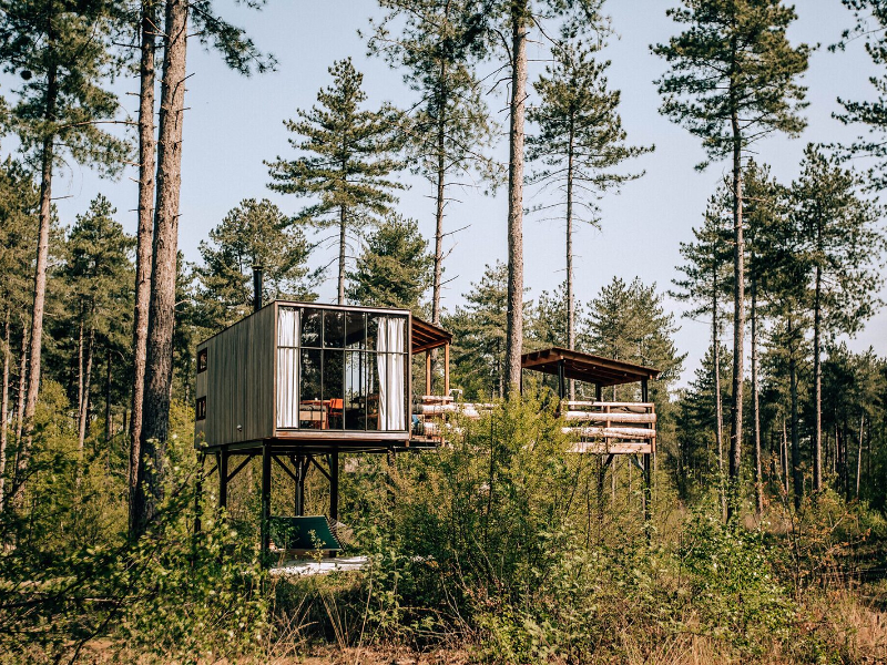 Overnachten in een luxe boomhut midden in het bos met de kids? Bij Warredal in Belgisch Limburg kan dat! 