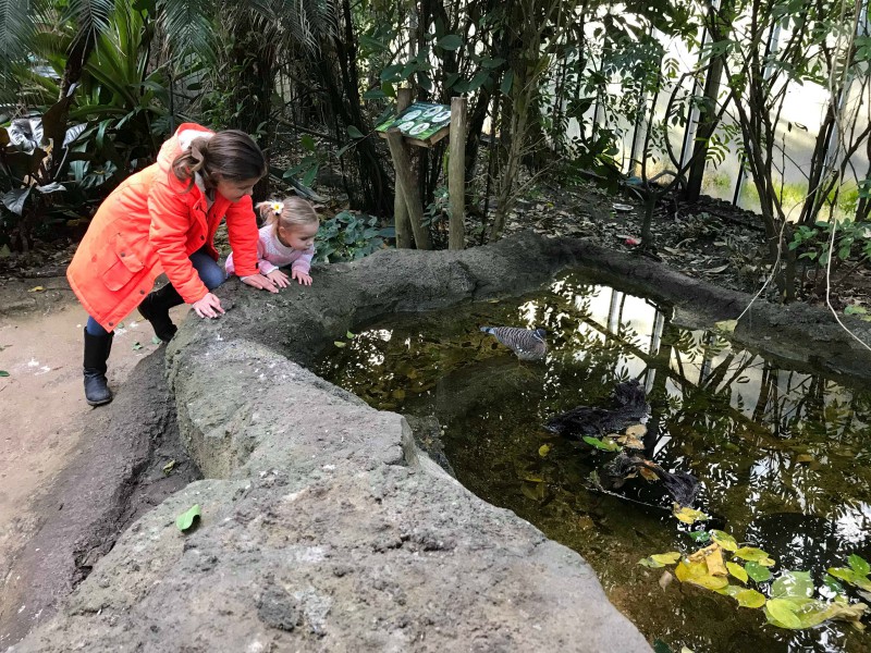 Hmm, zien we daar een schildpad?