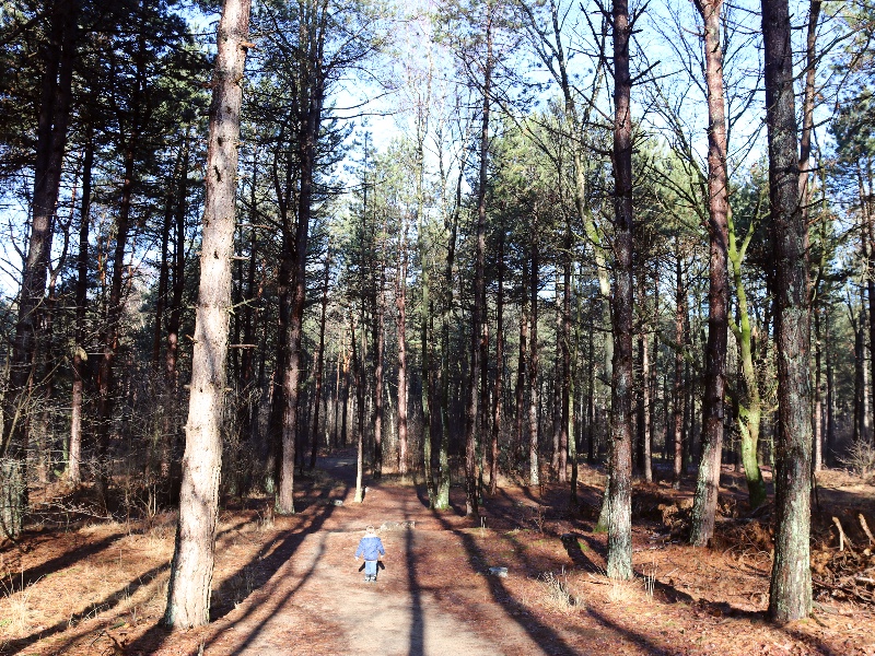 Vandaag gaan we wildspotten in het natuurpark van Molenheide
