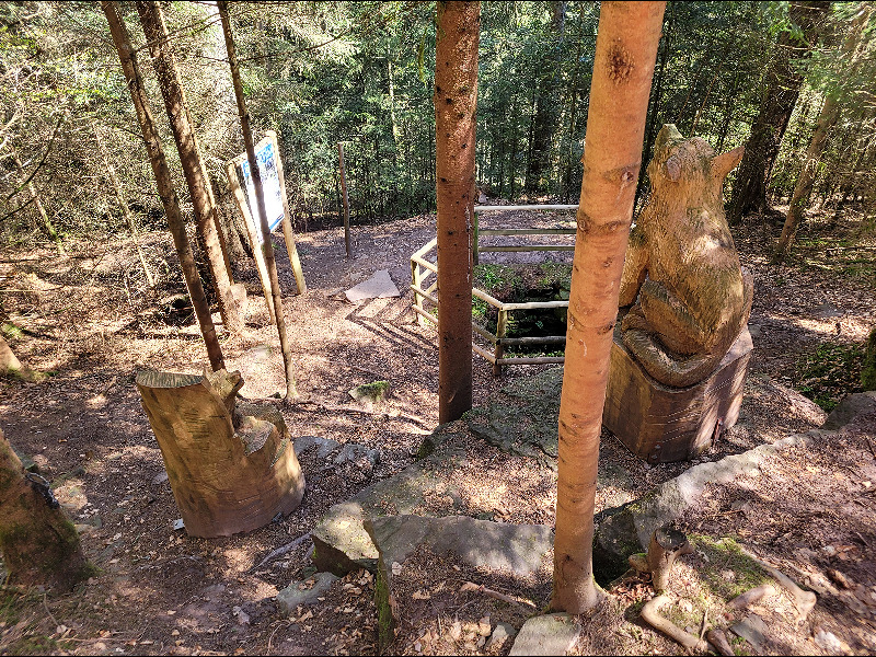 De wolvenput en een houten beeld van een wolf