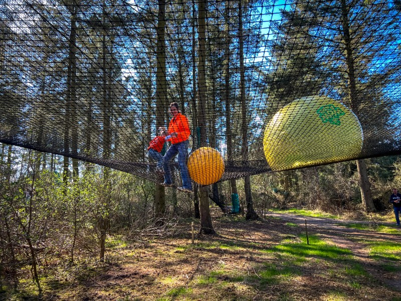 Spelen tussen de bomen