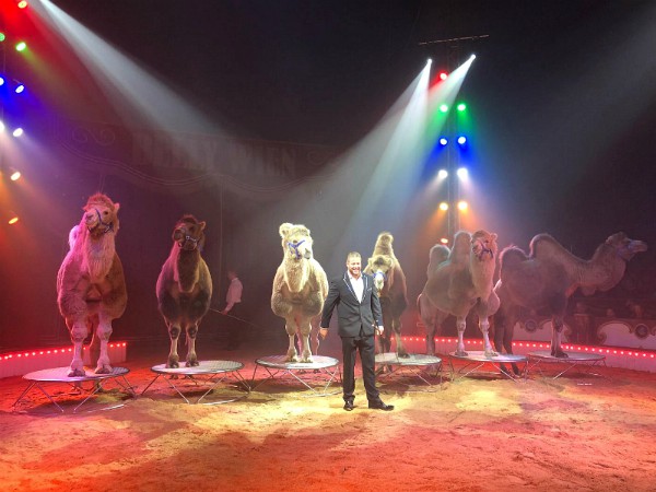 De kamelentemmer heeft een leuke show