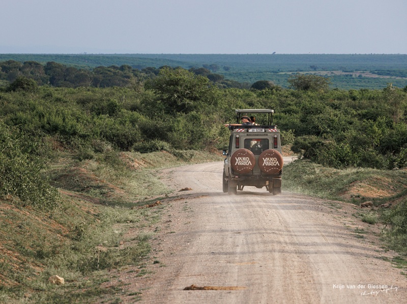 Wild spotten tijdens een jeepsafari
