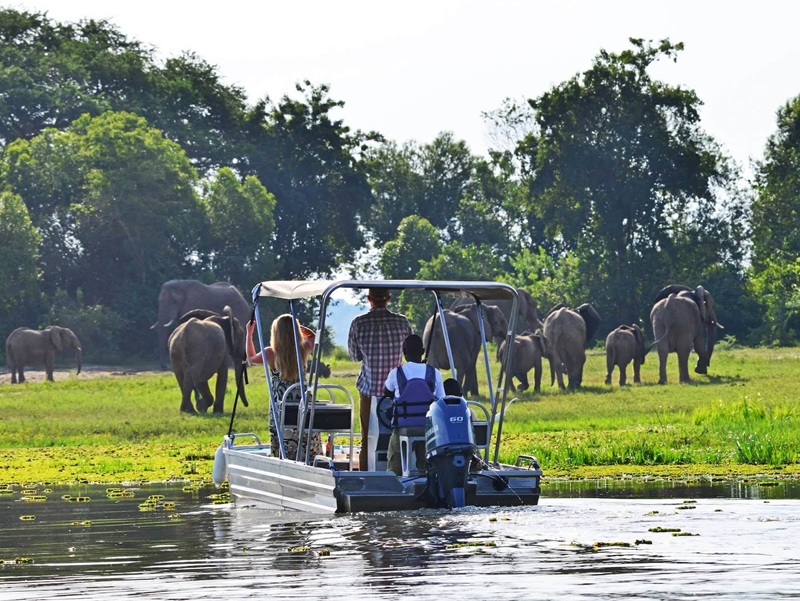 Wildlife bekijken vanaf een boot