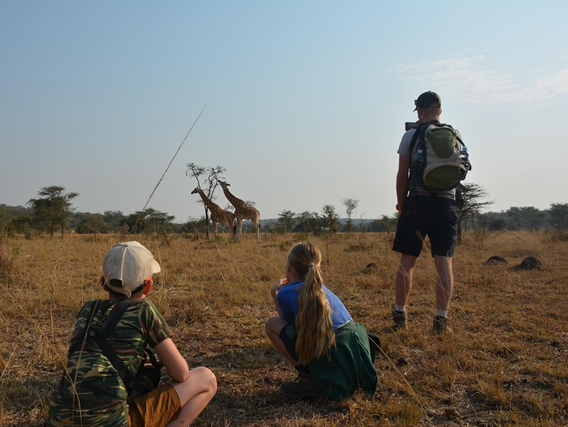 Giraffen spotten tijdens een wandelsafari