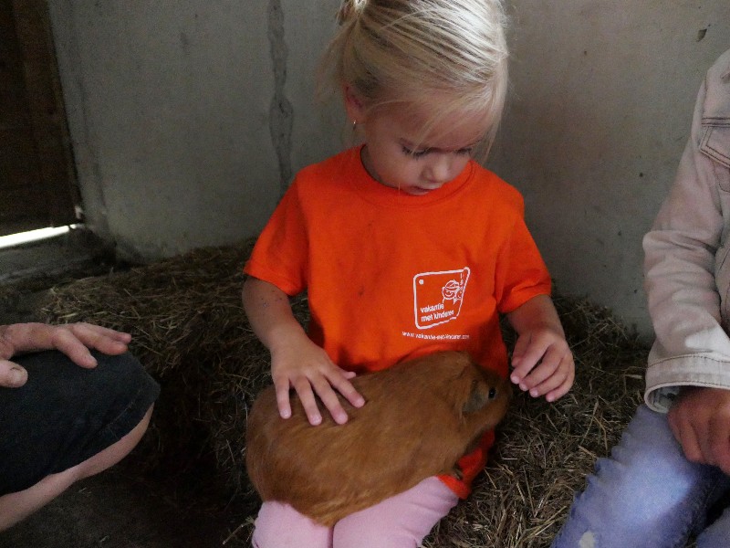 Wat lief zo’n cavia