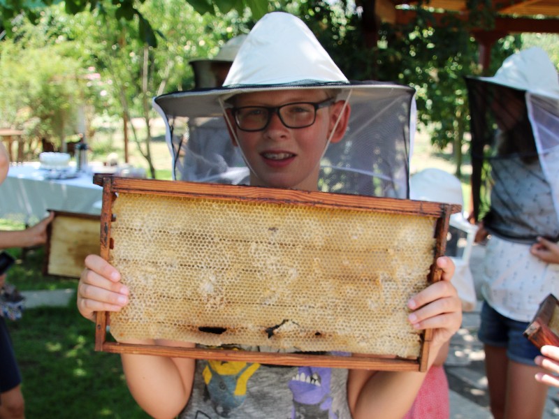 Zeb toont een honingraat