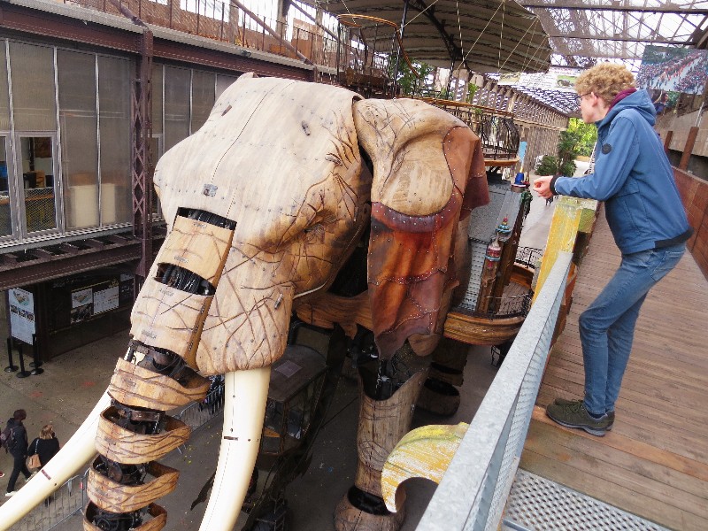 Zeb bewondert de enorme olifant. Helaas ging hij vandaag niet aan de wandel