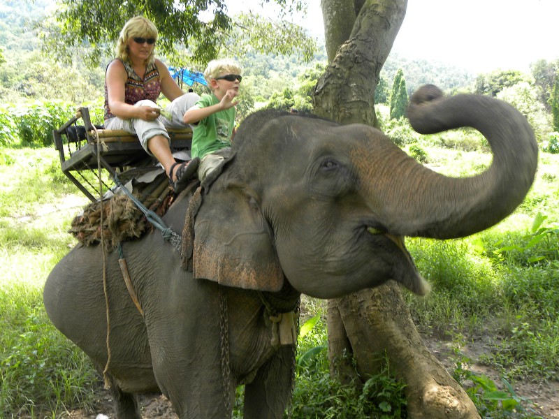 Zeb mag op de nek van de olifant